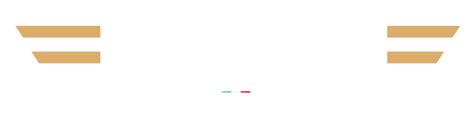 Tecnam-Flight-Academy-Logo-280323__b_002